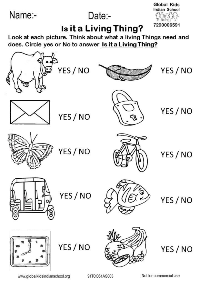 Living or Non-Living? Worksheet for First Grade Students Worksheet helping first graders identify living and non-living things