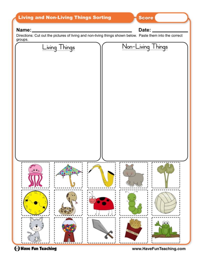 Living or Non-Living? Worksheet Image 14 Worksheet for identifying living and non-living things for first graders