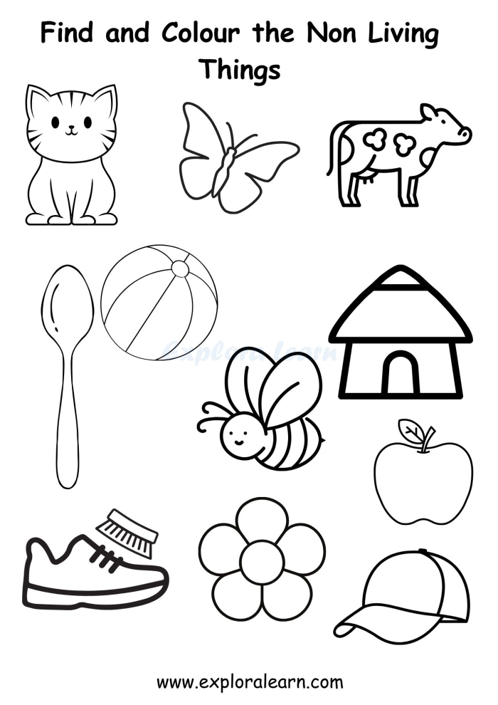 Living or Non-Living? educational activity for young learners Worksheet for first graders identifying living and non-living things