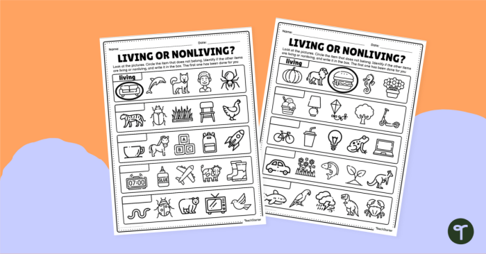 Living or Non-Living? Worksheet for Grade 1 Science Exploration Worksheet for identifying living and non-living things for first graders