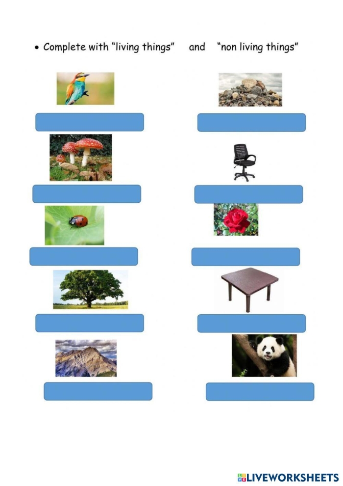 Living or Non-Living? Educational Worksheet for Young Learners Worksheet for first graders to identify living and non-living things
