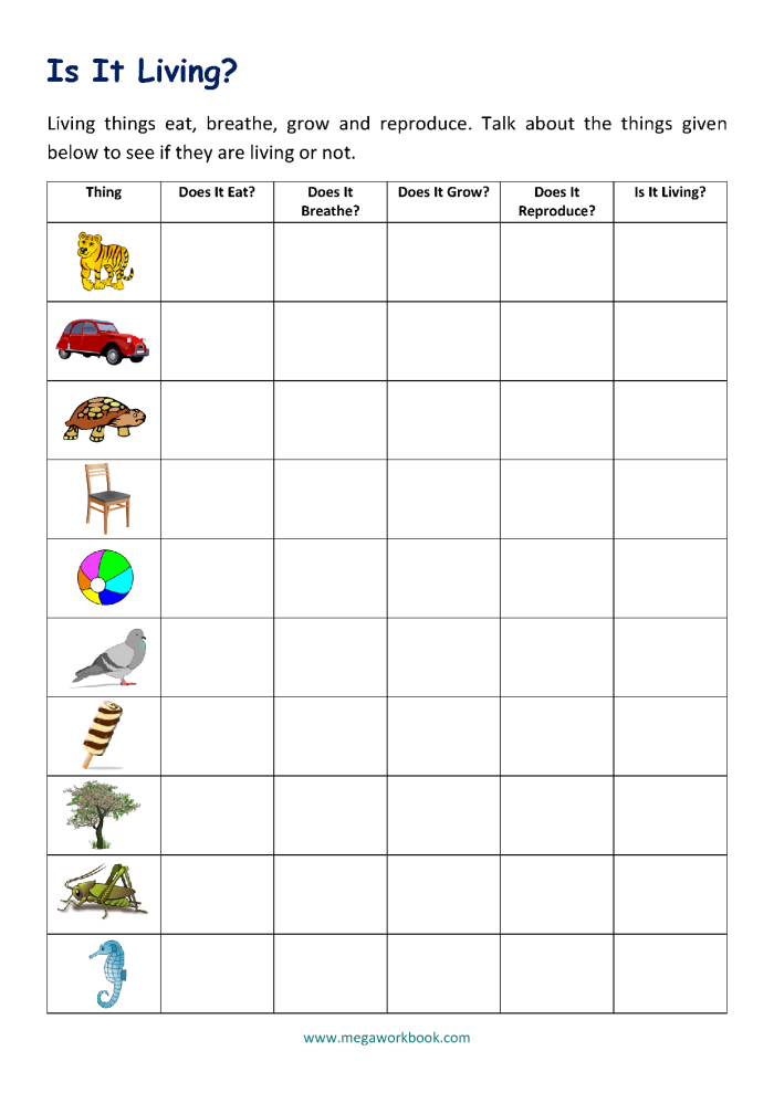 Living or Non-Living? worksheet for young learners in grammar and mechanics Worksheet for identifying living and non-living things for first graders