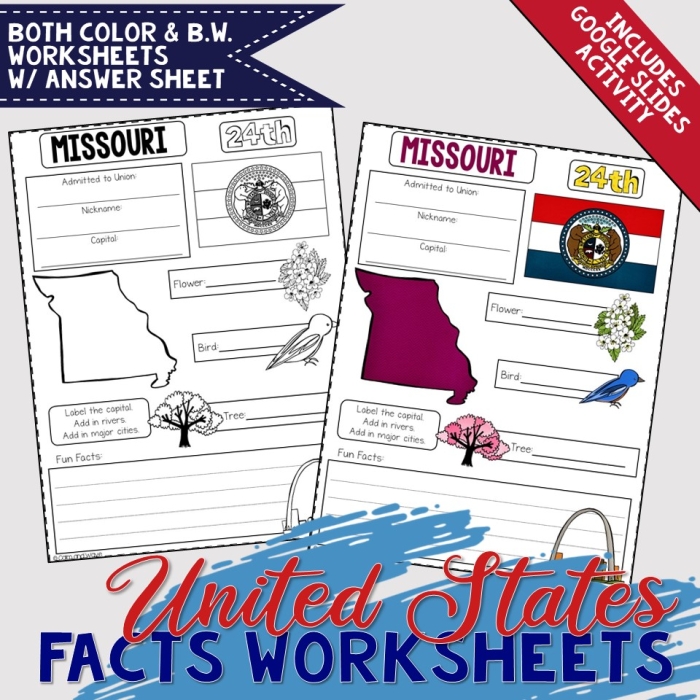 First grade students explore Mississippi by coloring its state bird and symbols on this engaging worksheet. Magnolia State social studies coloring activity for young learners.