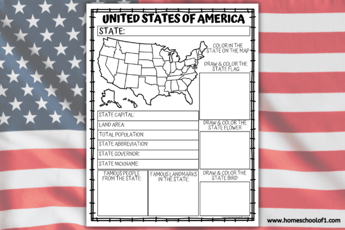 Children engage with the Magnolia State worksheet, coloring the state bird and symbols of Mississippi. First Grade social studies coloring page featuring Mississippi's unique heritage.