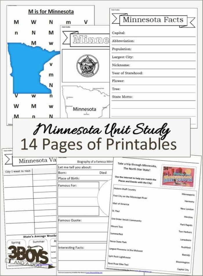 Children engaging with a Magnolia State worksheet, coloring the state bird and symbols of Mississippi. First-grade social studies coloring page featuring Mississippi's state bird and other cultural symbols.