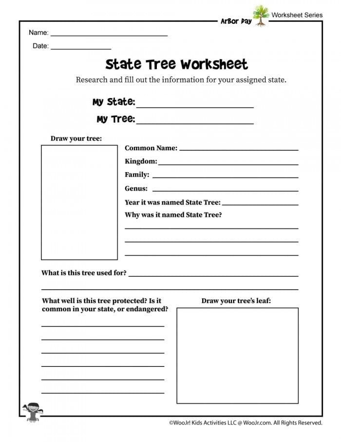 Coloring page featuring Mississippi's state bird and symbols for first graders