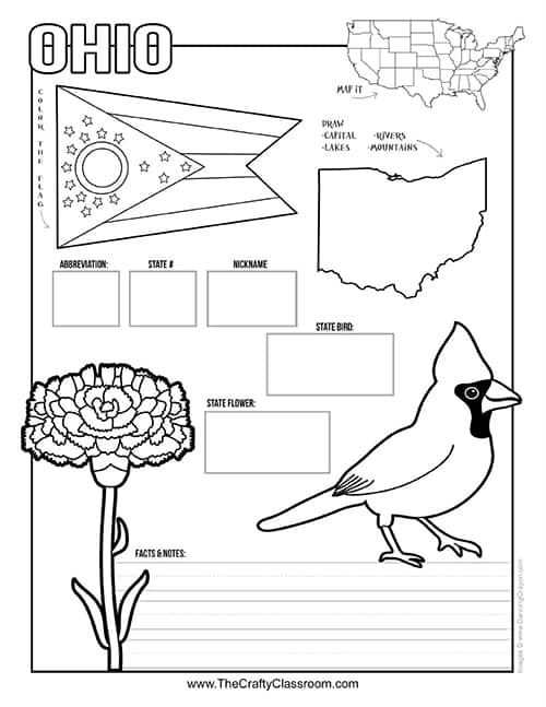 Children's Magnolia State worksheet featuring the state bird and symbols for coloring. First Grade social studies coloring page about Mississippi.