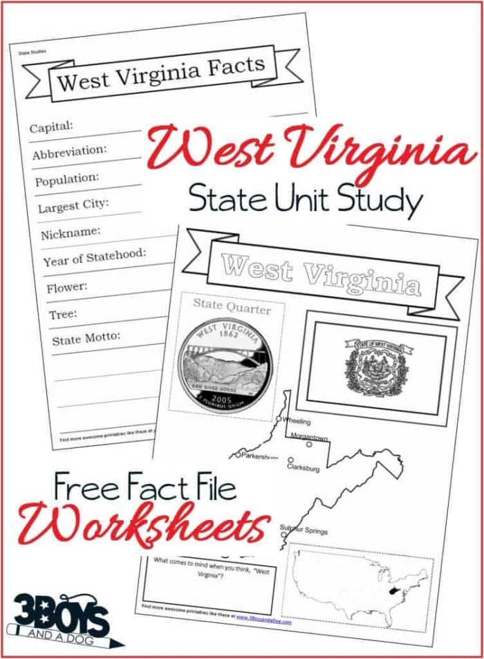 Coloring page for first graders featuring Mississippi symbols and the state bird