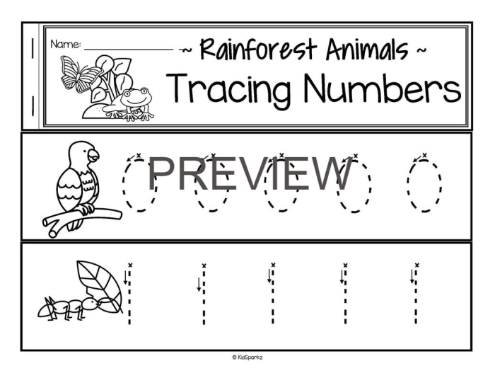 First grade jungle subtraction worksheet with safari themed math problems for students