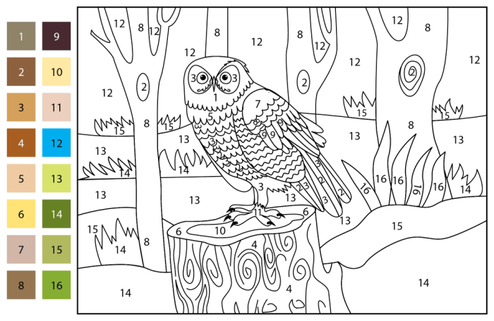 First grade student coloring an owl math worksheet with addition facts for owl color-by-number printable 20