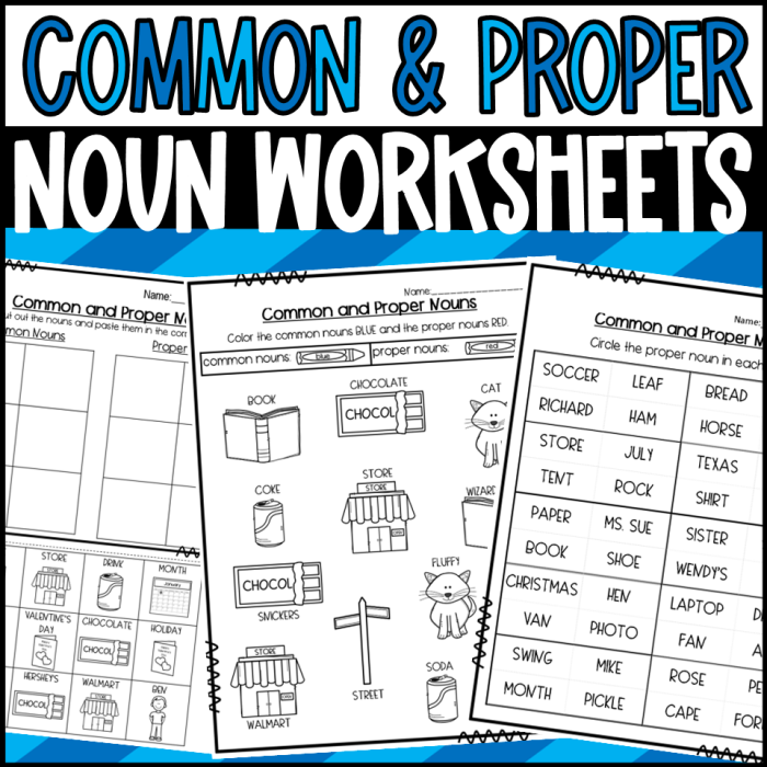 Worksheet for first graders distinguishing between common and proper nouns