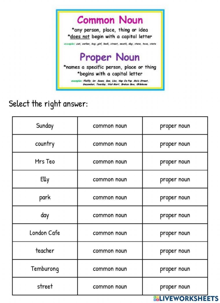 Worksheet for first graders distinguishing between common and proper nouns