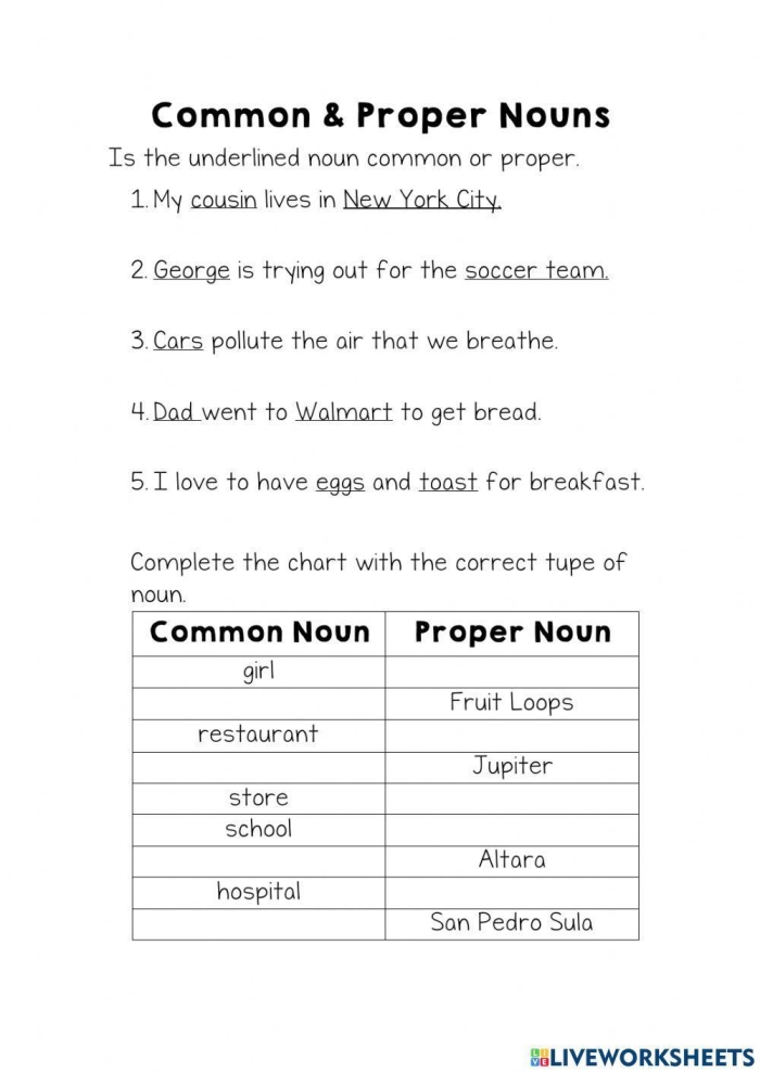 Worksheet for first graders to distinguish between common and proper nouns