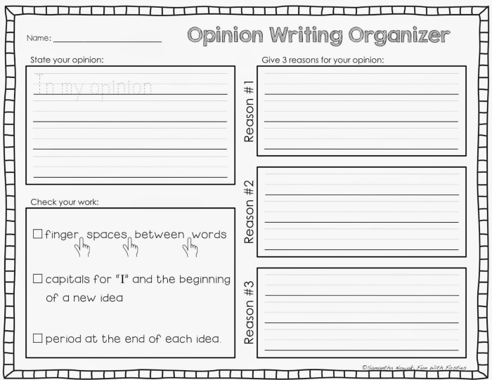 First grade economics opinion graphic organizer worksheet for planning persuasive writing