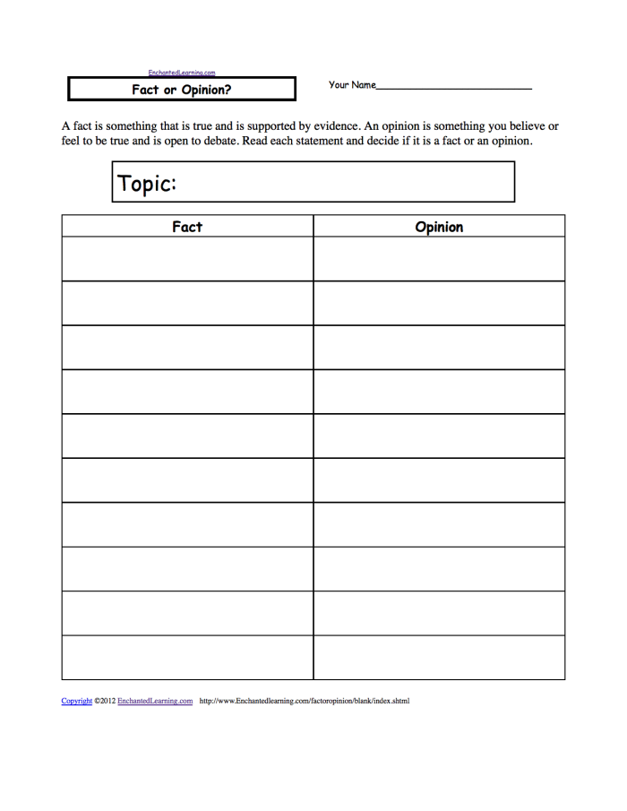 First grade opinion graphic organizer worksheet for economics class