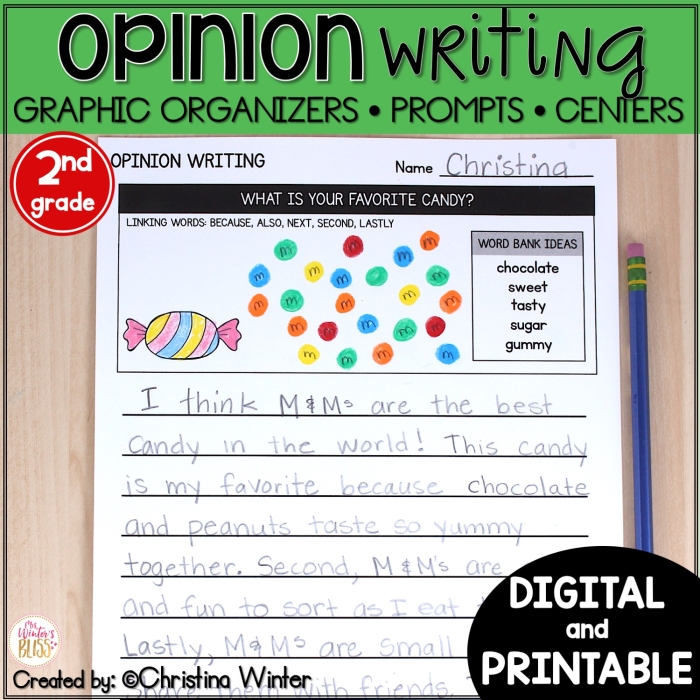 First grade opinion graphic organizer worksheet for economics learning
