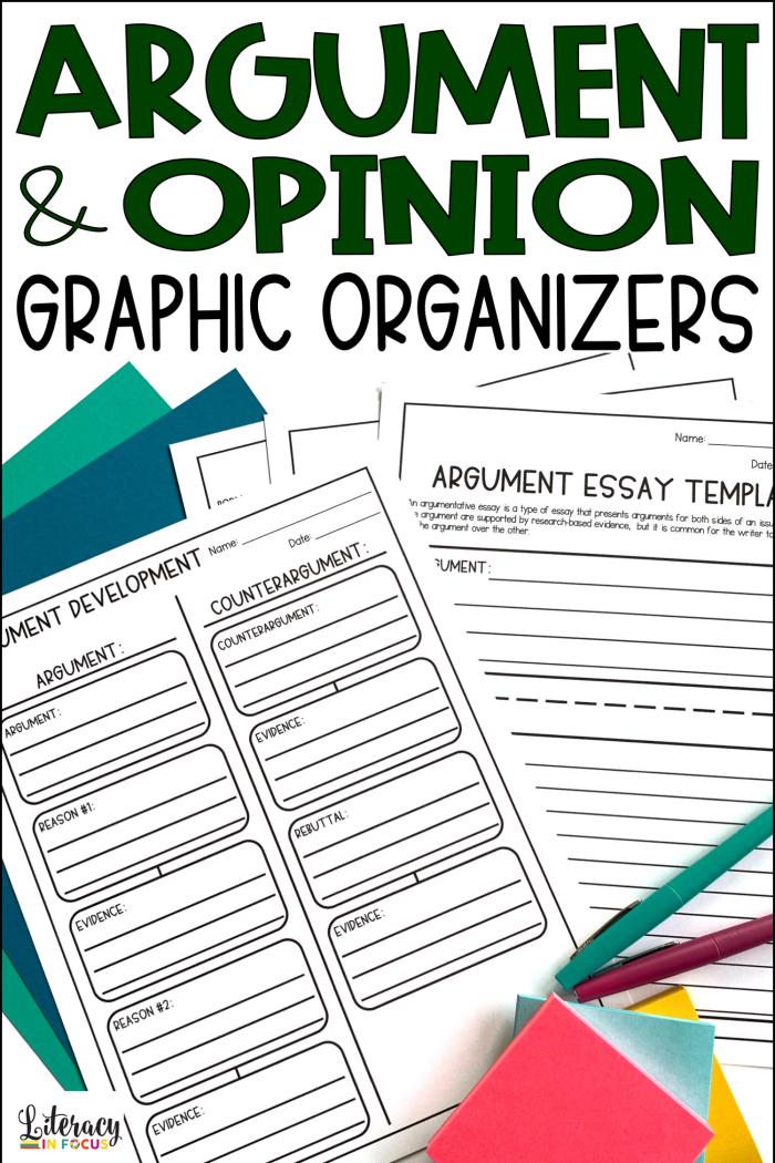 Opinion graphic organizer worksheet designed for first graders to express their views with supporting reasons. A helpful template for young learners to structure their opinions and conclusions.