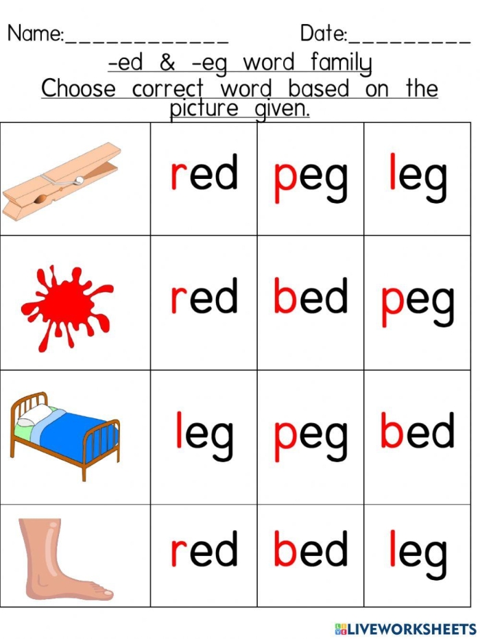 Colorful worksheet for first graders to explore the -ot word family through engaging activities