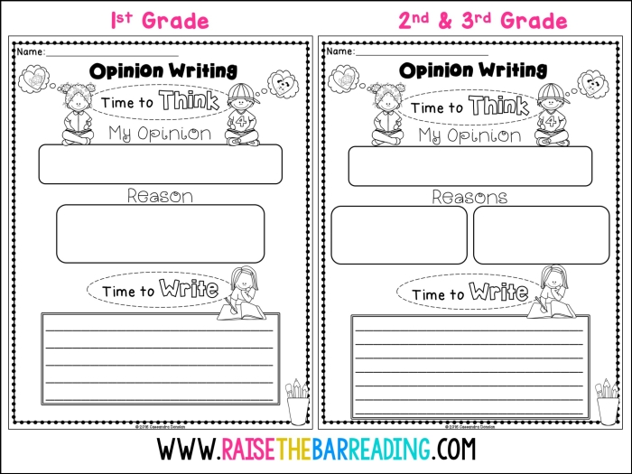 First grade economics opinion graphic organizer worksheet for planning persuasive writing