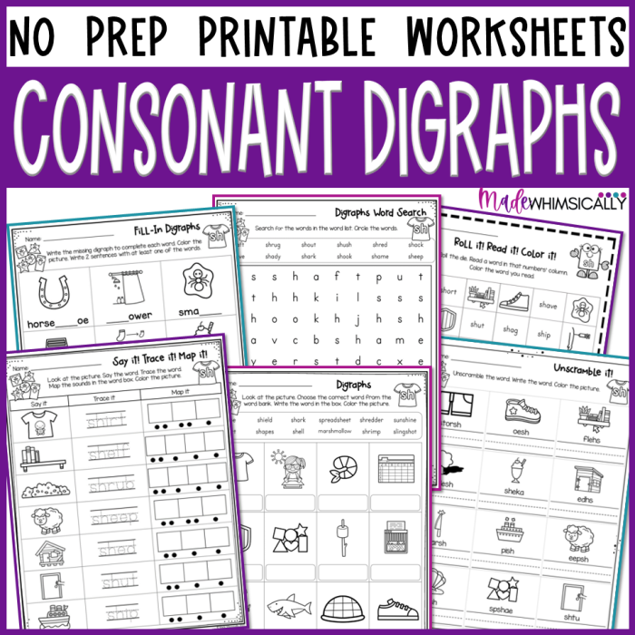 Engaging worksheet to enhance phonics skills and word recognition Phonics Practice worksheet featuring blends and digraphs for first graders