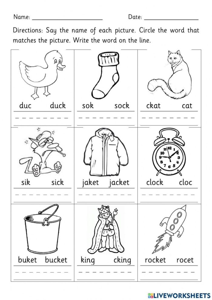 Worksheet featuring words that end with "ck" for phonics practice