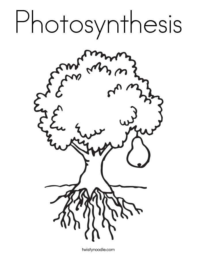 Photosynthesis coloring page worksheet designed for first graders to engage with the concept. Fun and educational diagram for introducing photosynthesis to young learners.