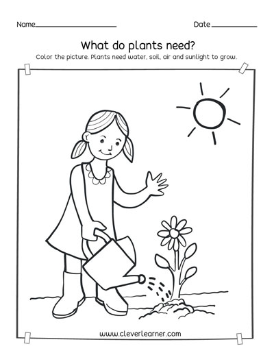 What Do Plants Need Activity Sheet for Young Learners First grade students identifying essential plant needs with pictures and checkboxes on educational worksheet nine