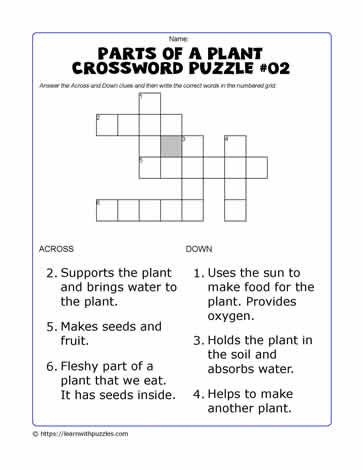 First grade plant parts crossword puzzle worksheet for students to learn about botany