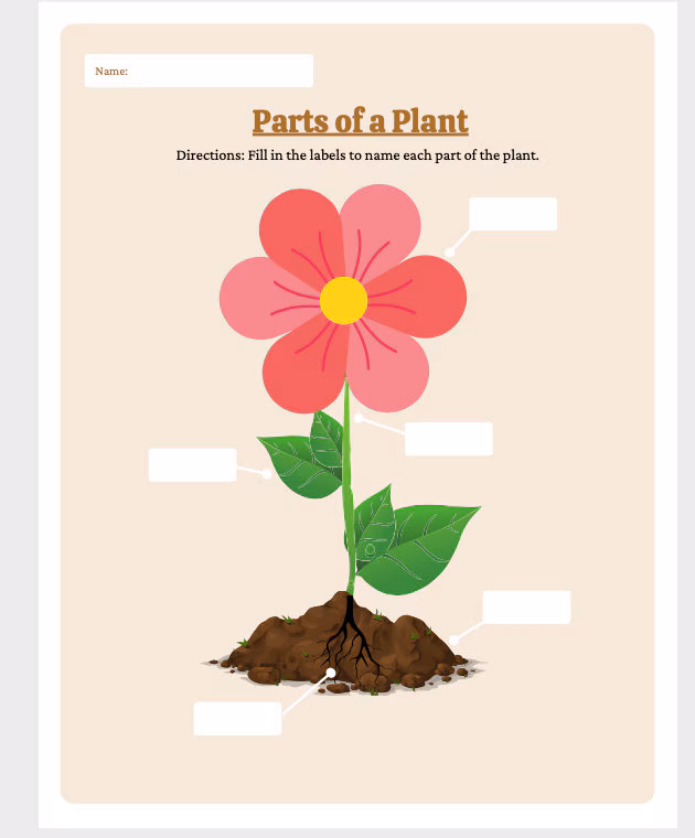 Colorful worksheet for first graders to identify parts of a plant using a word bank