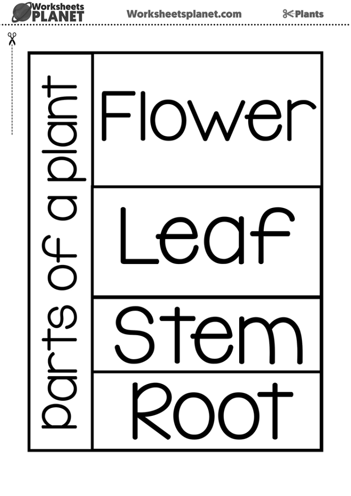 Colorful worksheet for first graders to identify parts of a plant using a word bank