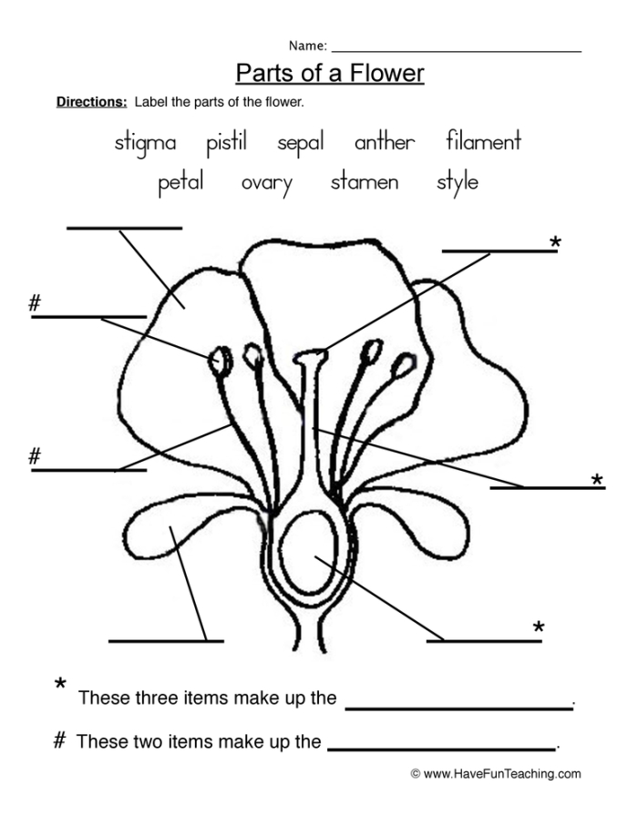 Colorful worksheet for first graders to identify the parts of a plant using a word bank