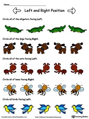 First grade student identifying left and right on a position and direction worksheet