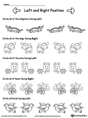 Position and Direction worksheet for first graders, featuring activities on left, right, and cardinal directions