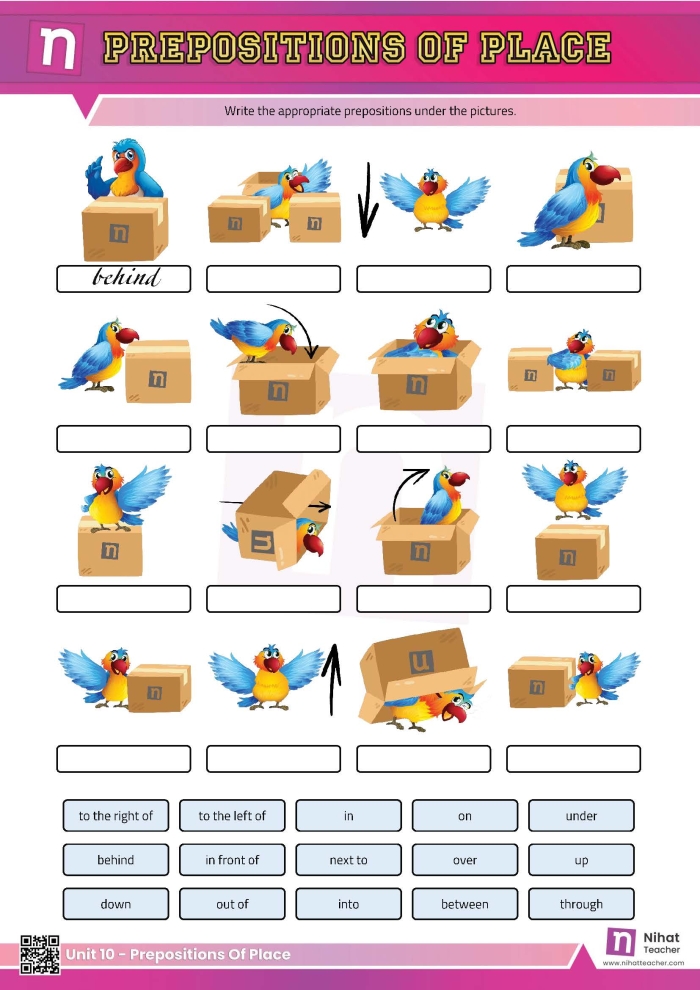 Preposition Practice Worksheet 5: Find the Pets Activity First grade student completing a preposition practice worksheet by locating pets in different positions