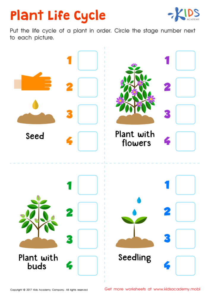 First grade students practice sequencing the growth stages of a seed in this plant life cycle worksheet