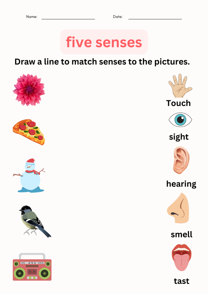 Engaging worksheet to help students explore their senses through fun riddles Five Senses Observation worksheet for first graders with sensory words and a riddle activity