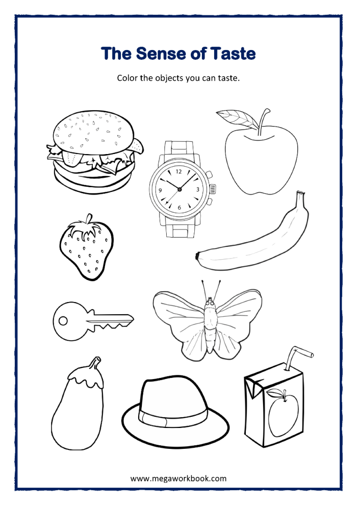 Engaging worksheet for teaching the five senses through fun descriptions and riddles Five Senses Observation worksheet for first graders featuring sensory words and a riddle activity