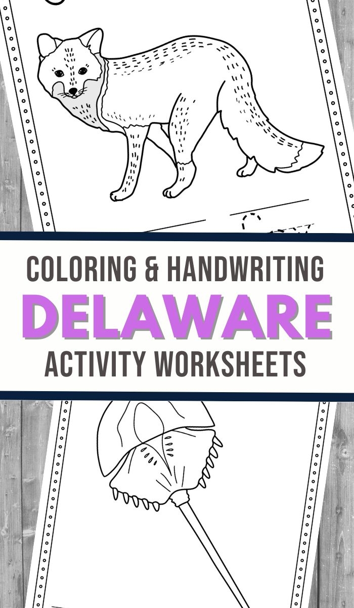 Colorful locations worksheet designed for first graders to learn pre-geometry terms