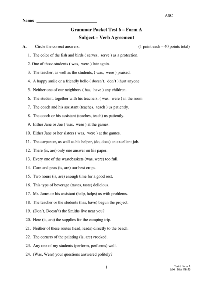 First grade student completing a subject-verb agreement quiz worksheet for alphabet learning