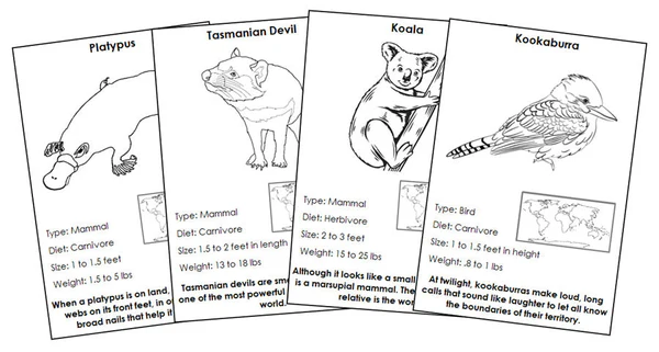 First grade science worksheet featuring a fun fact sheet and illustration of a real Tasmanian devil
