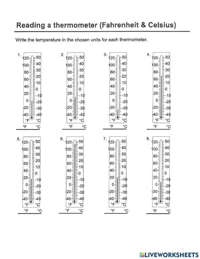 Engaging worksheet to help children learn how to read a thermometer Reading the Thermometer worksheet for first graders practicing temperature skills