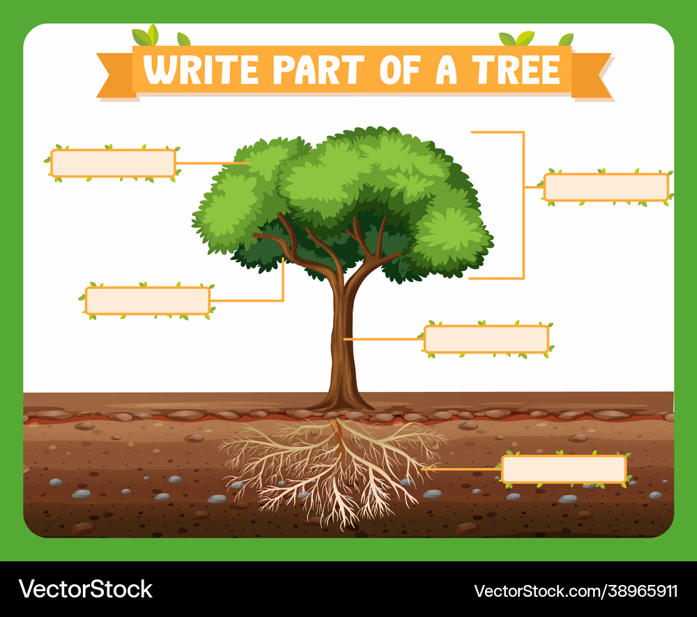 A first grade life science worksheet showing a tree diagram with labels for stem and roots to fill in