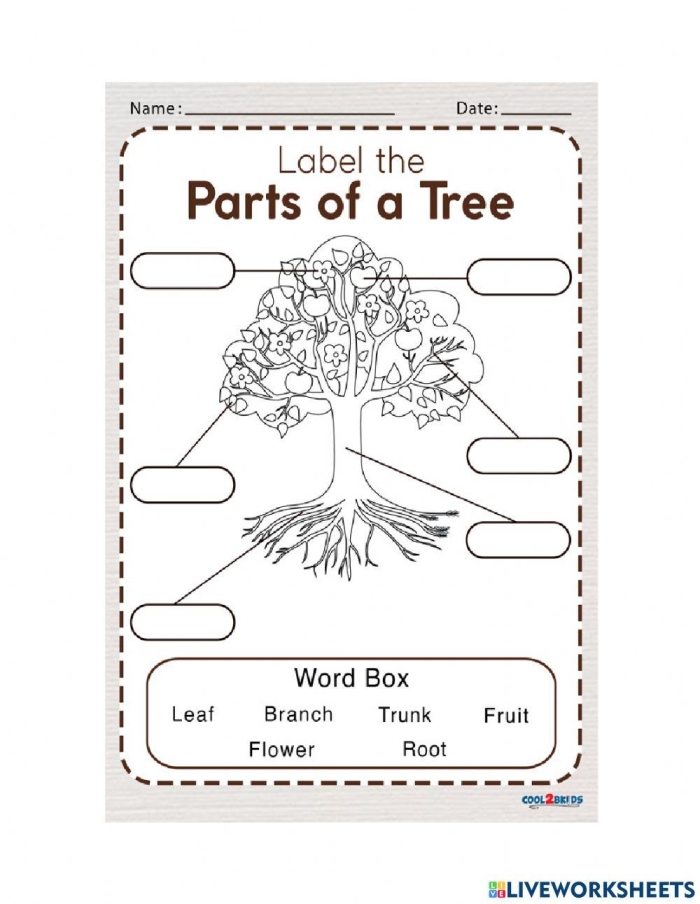 Colorful diagram of tree parts for kids to label on a worksheet