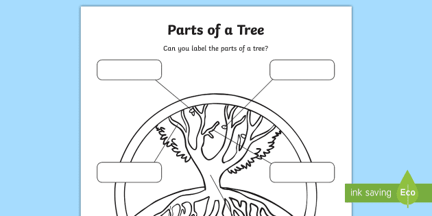 First grade life science worksheet featuring a colorful diagram of tree parts for students to label