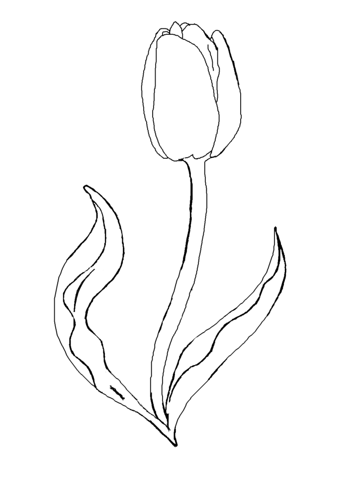 Spring-themed tulip diagram worksheet for educational coloring fun Coloring page of a tulip diagram designed for first graders to enhance their grammar skills