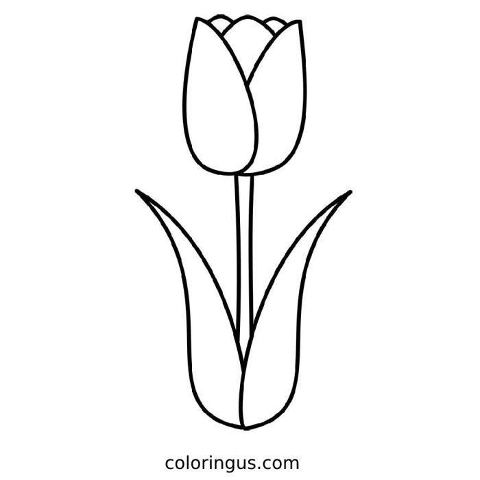 Worksheet illustration titled "Tulip Diagram Coloring Page for Spring Fun Coloring page featuring a tulip diagram designed for first graders to learn about flowers