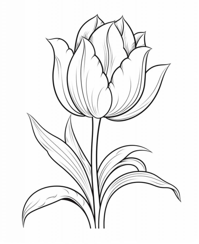 Grammar and Mechanics worksheet for First Grade A first-grade coloring page featuring a tulip diagram, perfect for spring-themed activities. Tulip Diagram Coloring Page worksheet for first graders celebrating the arrival of spring.