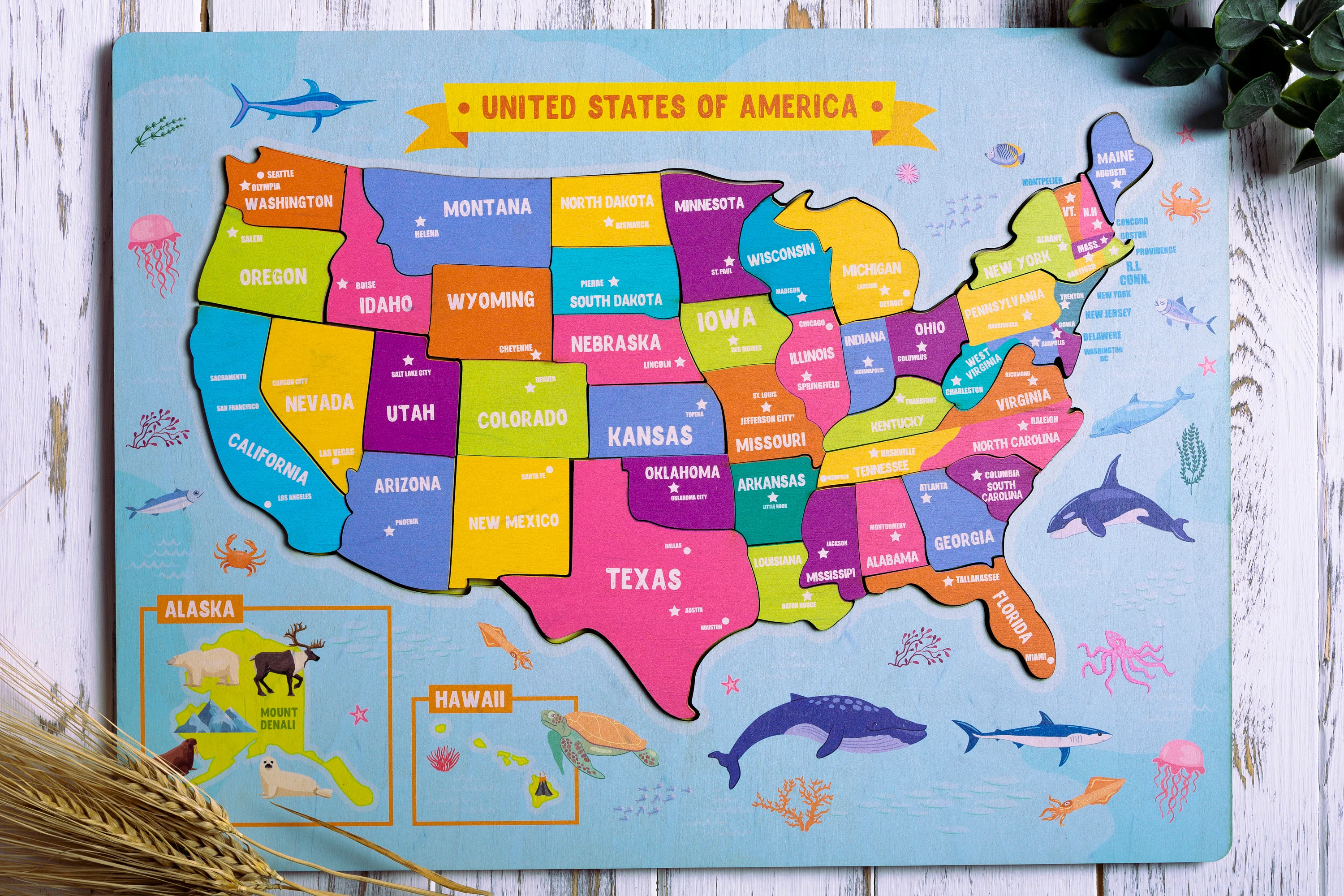 United States Puzzle worksheet for first graders focusing on map skills