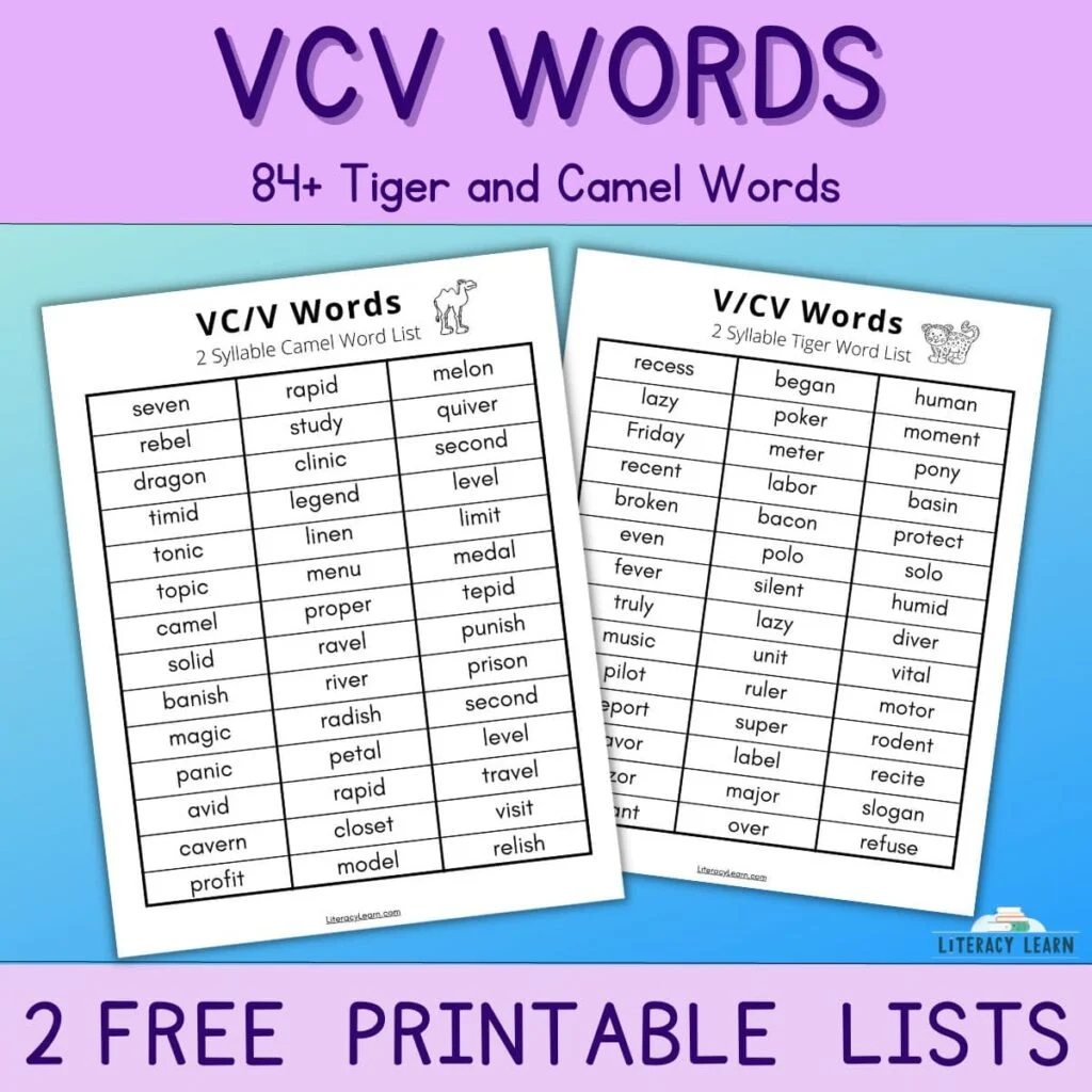 Worksheet for practicing syllable separation in V/CV words for first graders