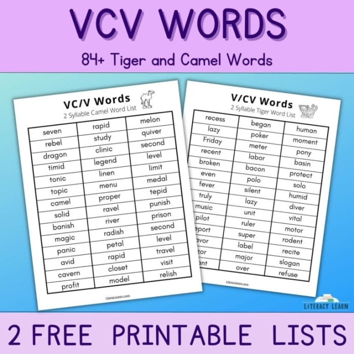First grade worksheet focused on separating words using the VC/CV syllable pattern